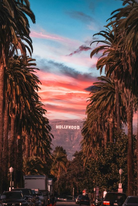 Tall palm trees frame a vivid sunset over Hollywood, with the HOLLYWOOD sign in the distance and cars parked along a street.
