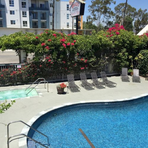 An outdoor hotel pool area with lounge chairs, bright pink flowers, and a sign for Kado Japanese Restaurant & Sushi Bar.