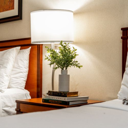A cozy hotel room scene with a bedside lamp, potted plant on a table, stacked books, and pillows/duvet on both sides.