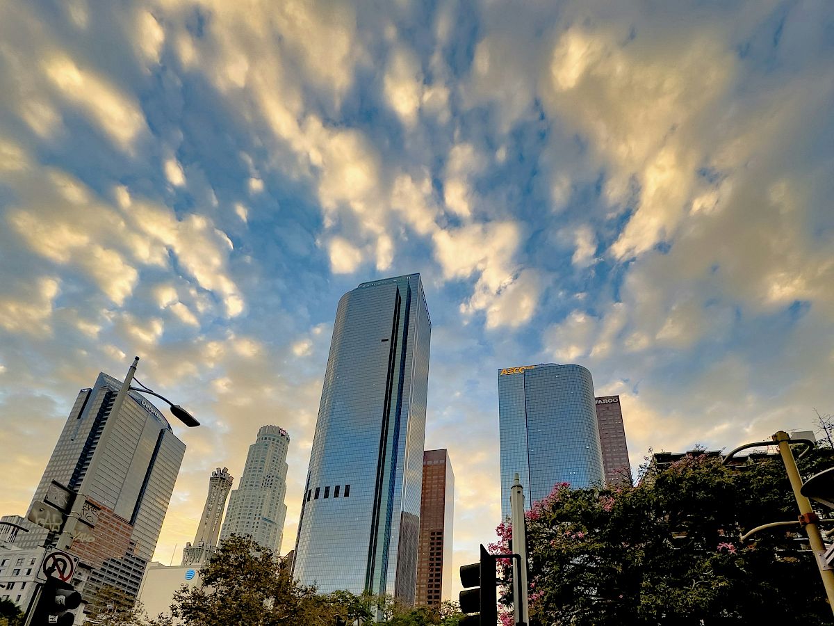Downtown Los Angeles high-rise towers seen from a street corner