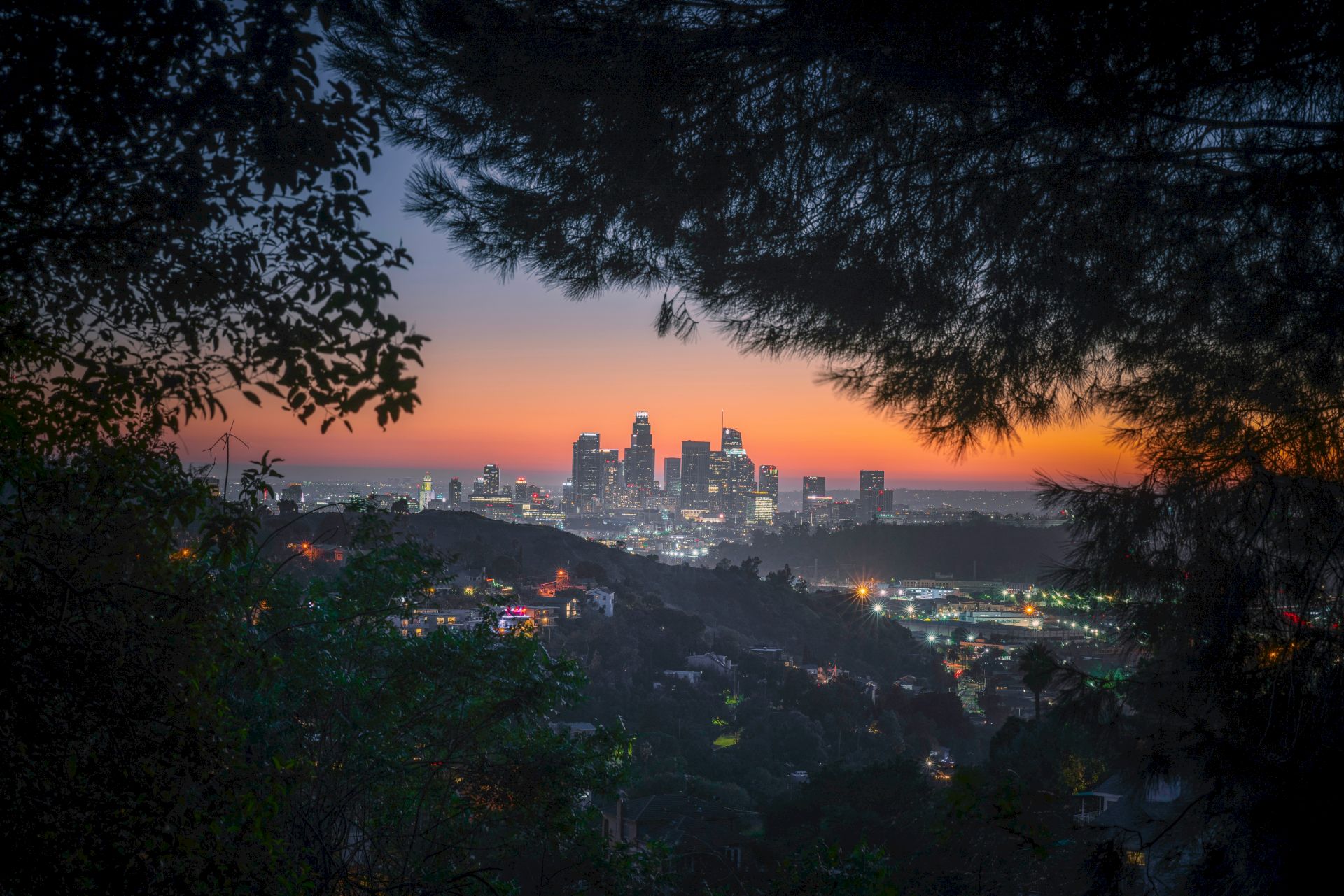 A city skyline at dusk glows with lights, framed by dark tree branches over a quiet hillside viewpoint.